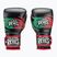 Γάντια του μποξ Cleto Reyes Velcro Sparring black/red/white green red