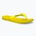 Σαγιονάρες Havaianas Brasil Logo Neon citrus yellow / citrus yellow