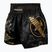 Ανδρικό σορτς προπόνησης Hayabusa Falcon Muay Thai black