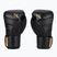 Γάντια πυγμαχίας Hayabusa T3 μαύρο/χρυσό