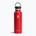 Hydro Flask Standard Flex 620 ml μπουκάλι ταξιδιού goji