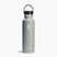 Μπουκάλι ταξιδιού Hydro Flask Standard Flex 620 ml αγαύη