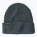 Patagonia Fishermans Rolled Beanie χειμερινό καπέλο nouveau πράσινο