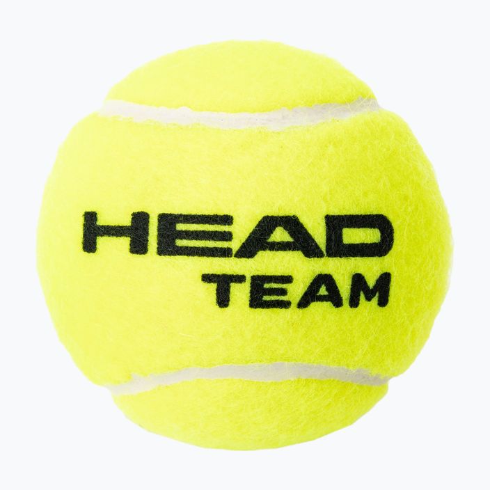 HEAD Team μπάλες τένις 4 τμχ κίτρινο 575704 2