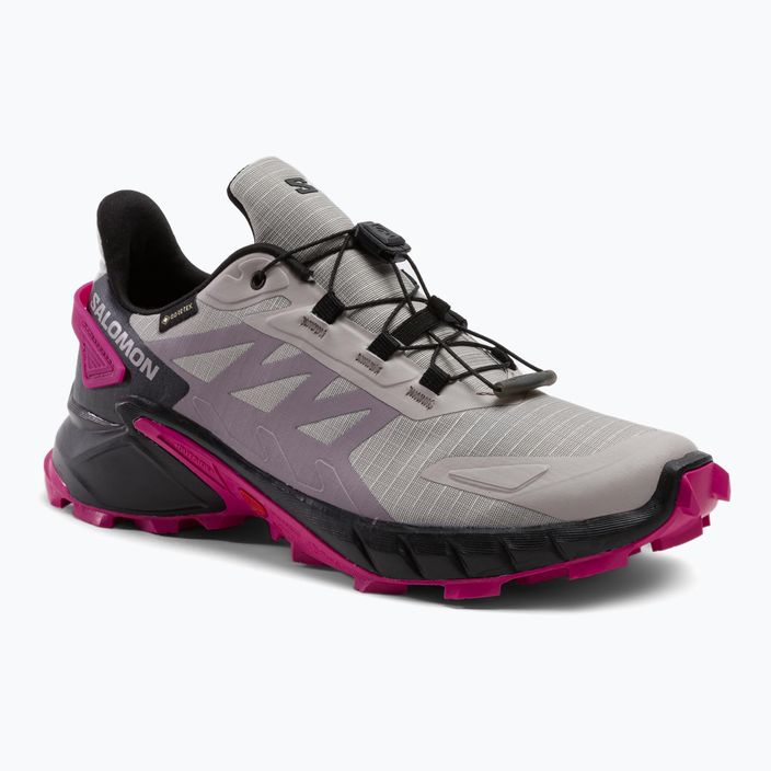 Γυναικεία παπούτσια για τρέξιμο Salomon Supercross 4 GTX γκρι L41735500