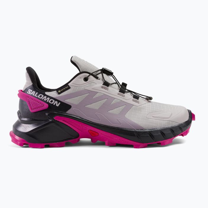 Γυναικεία παπούτσια για τρέξιμο Salomon Supercross 4 GTX γκρι L41735500 2