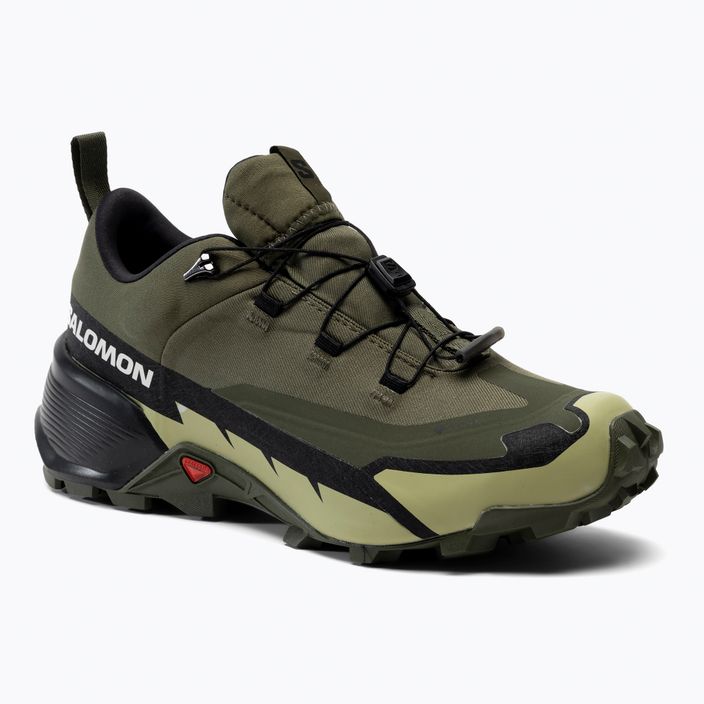 Ανδρικά παπούτσια πεζοπορίας Salomon Cross Hike GTX 2 πράσινο L41730800