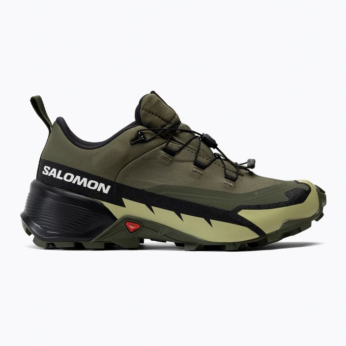 Ανδρικά παπούτσια πεζοπορίας Salomon Cross Hike GTX 2 πράσινο L41730800 2