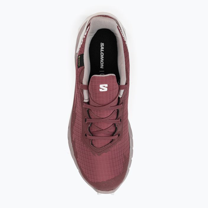 Salomon Alphacross 4 GTX γυναικεία παπούτσια μονοπατιών ροζ L47117400 8