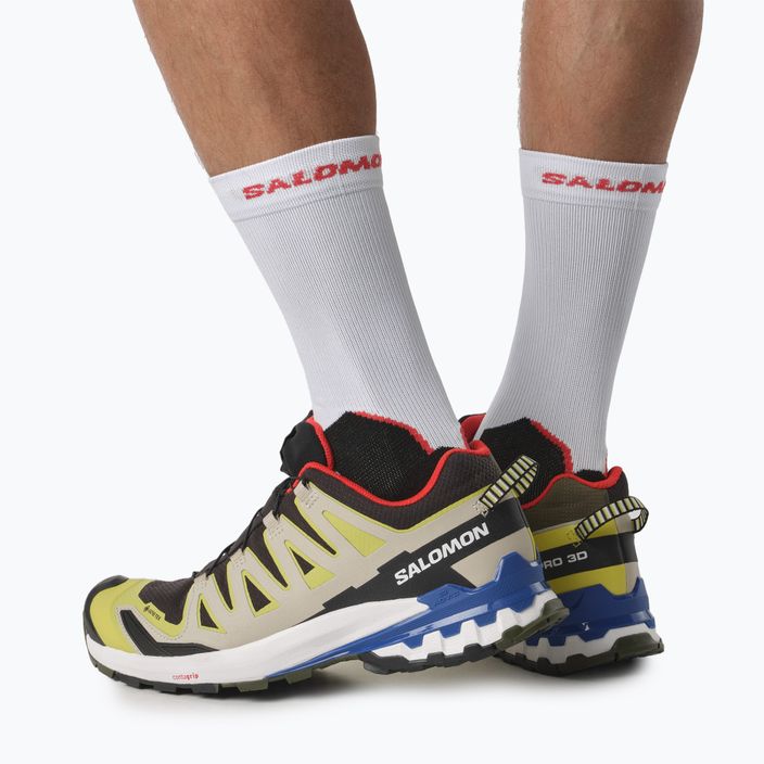 Salomon XA Pro 3D V9 GTX ανδρικά αθλητικά παπούτσια για τρέξιμο μαύρα/βουτυρικά /lapis 5