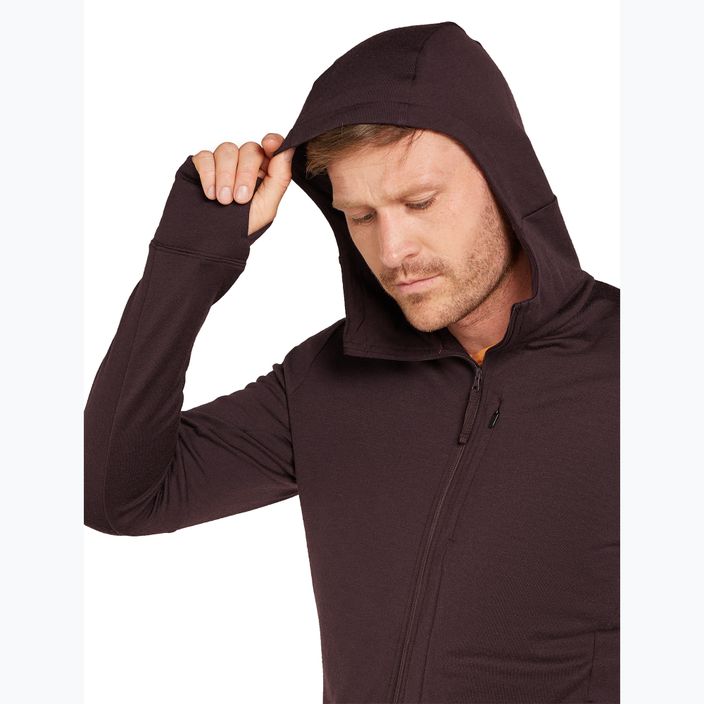 Ανδρικό Icebreaker Merino 260 Quantum IV Zip Hoodie γλυκόπικρο 6