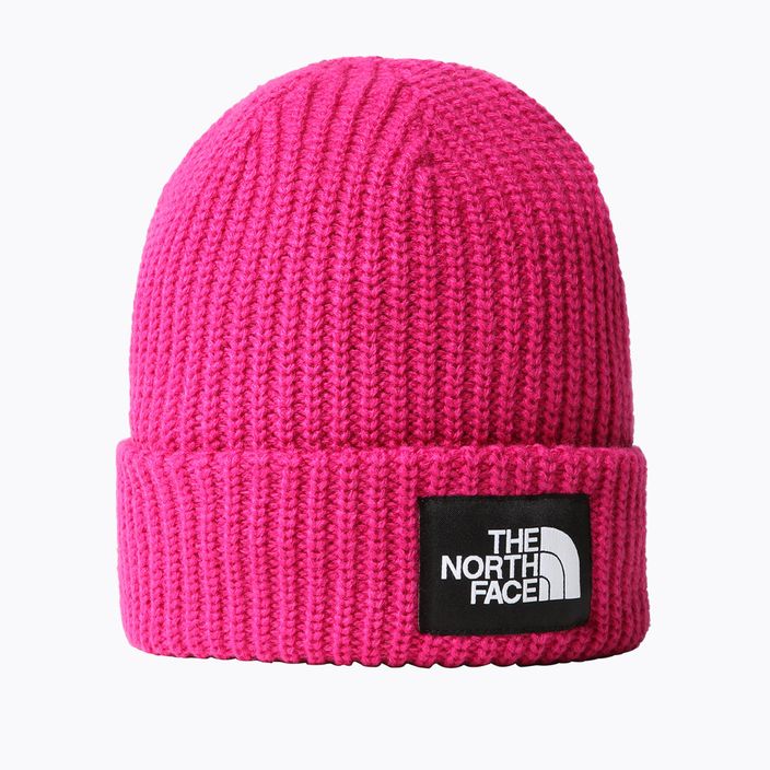 The North Face Salty Dog καπέλο ροζ NF0A7WG81461 4