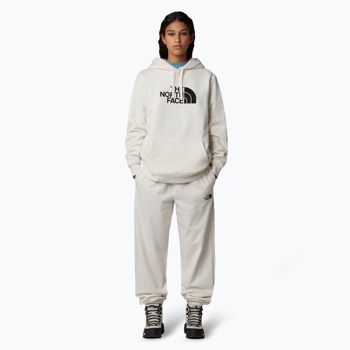 Γυναικείο φούτερ The North Face Drew Peak Pullover Hoodie white dune 2