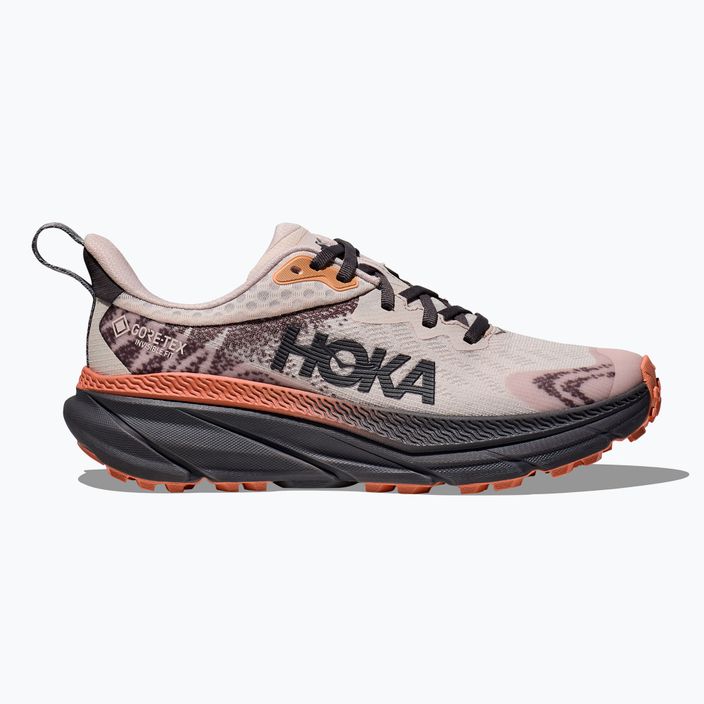 Γυναικεία παπούτσια για τρέξιμο HOKA Challenger 7 GTX cosmic pearl/galaxy 2