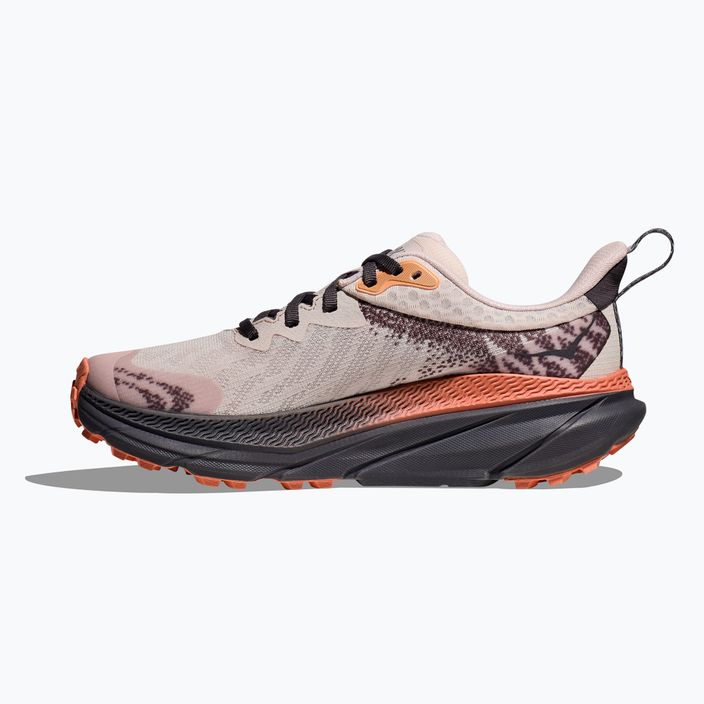 Γυναικεία παπούτσια για τρέξιμο HOKA Challenger 7 GTX cosmic pearl/galaxy 3