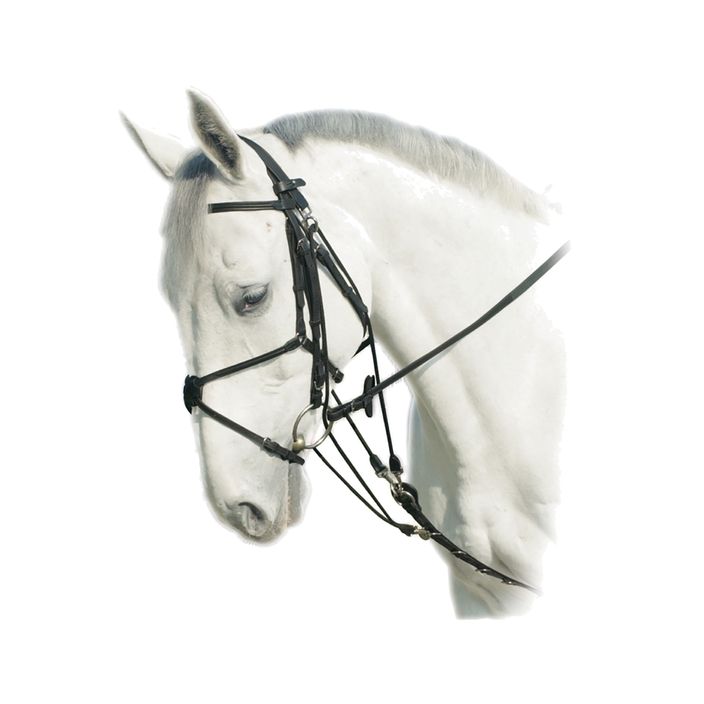 Δερμάτινη γκόγκα για άλογο Prestige Italia μαύρο E46 2