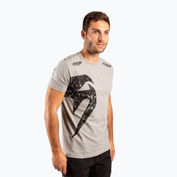 Ανδρικό Venum Giant γκρι T-shirt EU-VENUM-1324 2