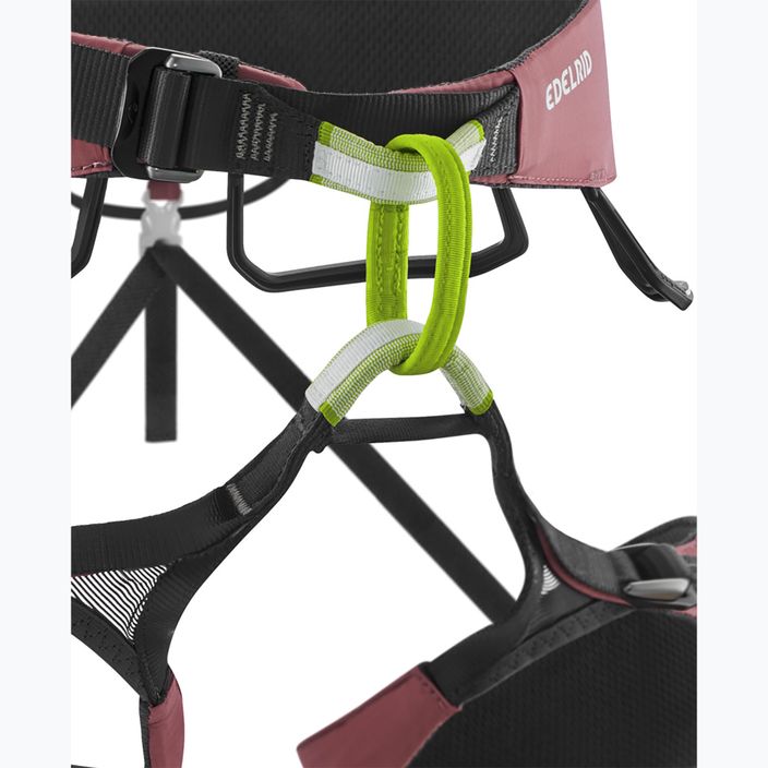 EDELRID Autana II ζώνη αναρρίχησης βατόμουρο 3