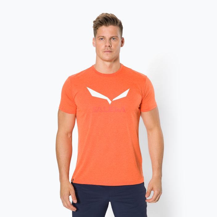 Ανδρικό πουκάμισο trekking Salewa Solidlogo Dry πορτοκαλί 00-0000027018
