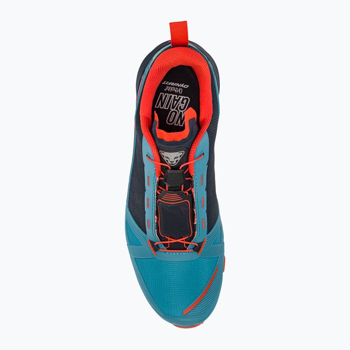 Ανδρικό παπούτσι για τρέξιμο DYNAFIT Traverse μπλε 08-0000064078 10