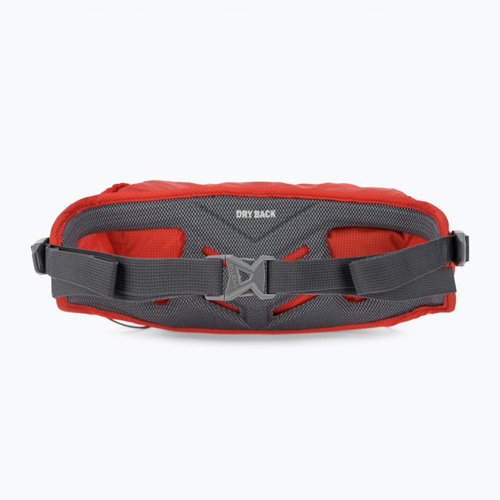 Salewa Lite Train Hipbelt σακουλάκι νεφρών κόκκινο 00-0000001269 3