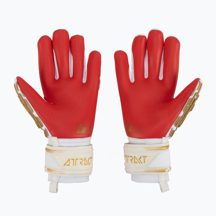 Reusch Attrakt Freegel Silver γάντια τερματοφύλακα λευκά 5370235-1011 2
