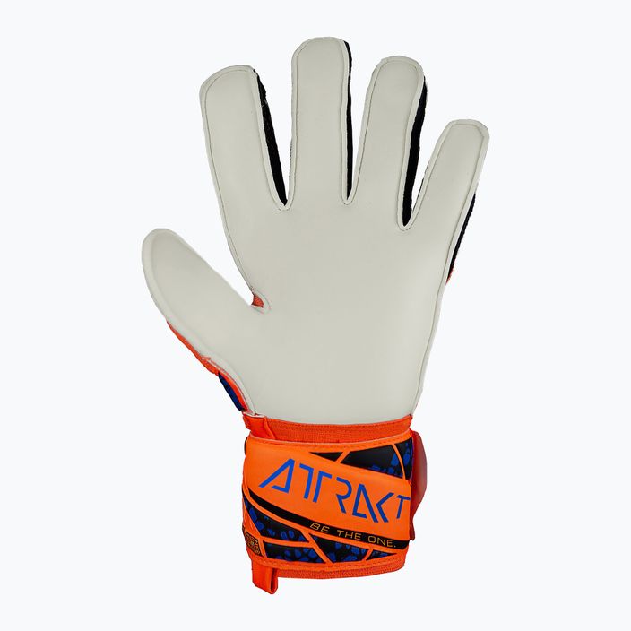 Γάντια τερματοφύλακα Reusch Attrakt Solid hyper orange/ηλεκτρικό μπλε 3