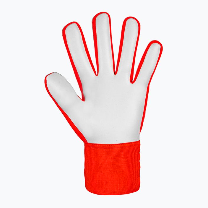 Γάντια τερματοφύλακα Reusch Attrakt Starter Solid bright red/future blue 3