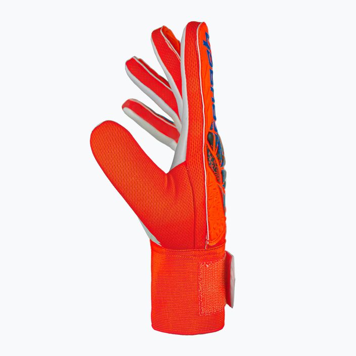 Γάντια τερματοφύλακα Reusch Attrakt Starter Solid bright red/future blue 4