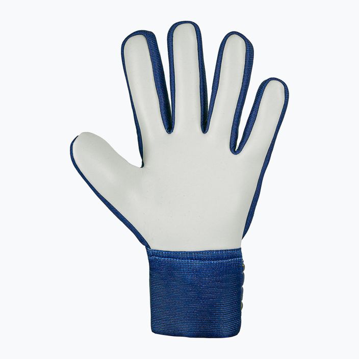 Reusch Attrakt Starter Solid premium μπλε/κίτρινα γάντια τερματοφύλακα 3