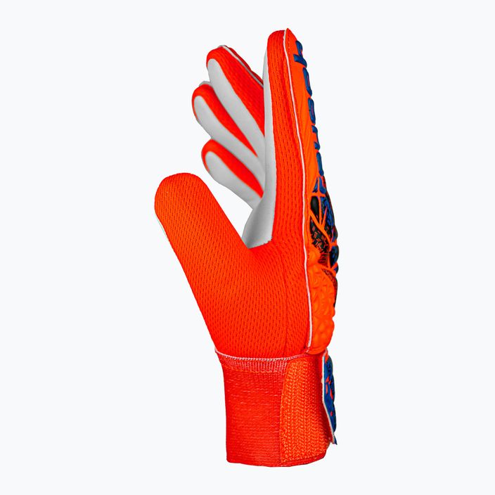 Reusch Attrakt Starter Grip γάντι τερματοφύλακα hyper orng/elec μπλε 4