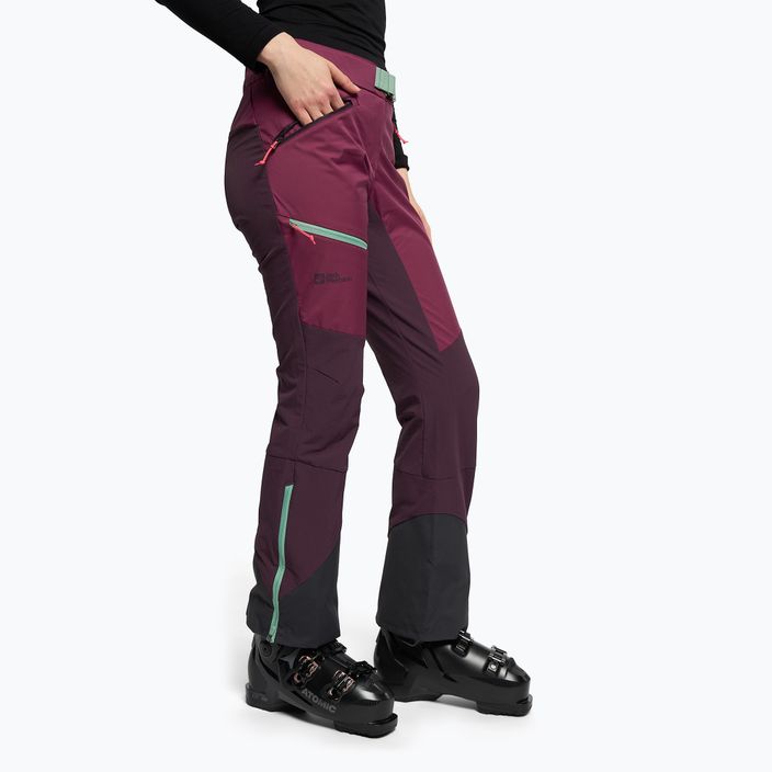Jack Wolfskin γυναικείο παντελόνι σκι Alpspitze ροζ 1507531 3