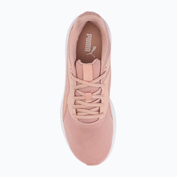 PUMA Transport ροζ παπούτσια για τρέξιμο 377028 07 6