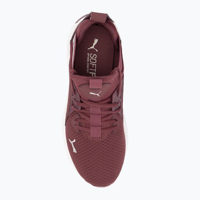 Γυναικεία παπούτσια για τρέξιμο PUMA Softride Enzo Nxt maroon 195235 17 6