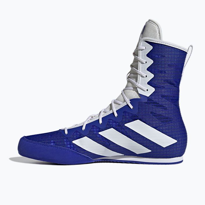 Παπούτσια πυγμαχίας adidas Box Hog 4 navy blue HP9612 11