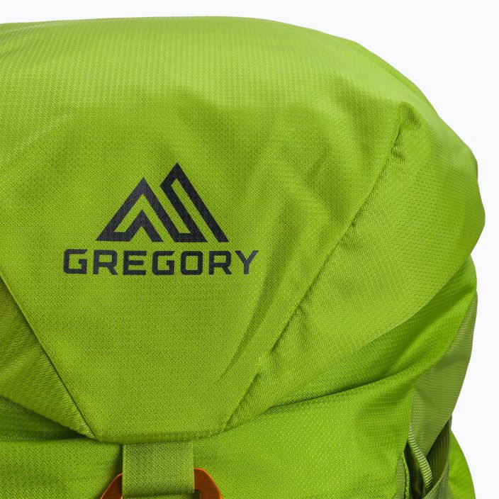 Gregory Alpinisto 35 l σακίδιο ορειβασίας πράσινο 02J*04041 5