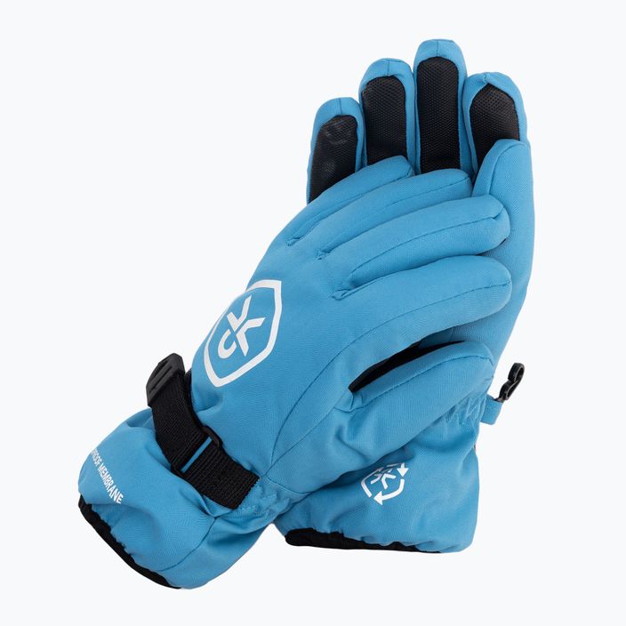 Χρώμα Παιδικά γάντια σκι Αδιάβροχο μπλε 740815