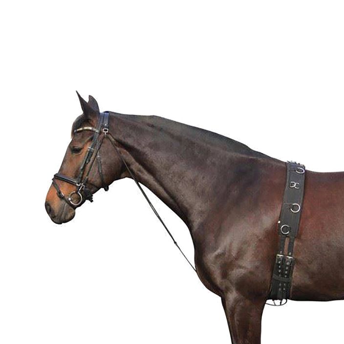 York δερμάτινο άλογο chambone μαύρο 180202 2