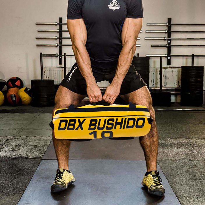Τσάντα ισχύος DBX BUSHIDO 10 kg κίτρινο Pb10 8
