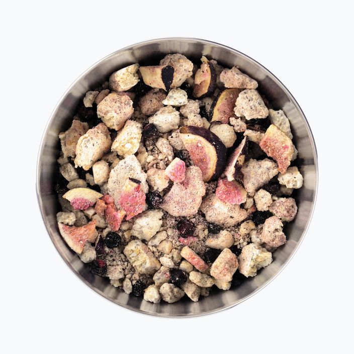 Αποξηραμένα τρόφιμα σε κατάψυξη LYOFOOD Βρώμη καρύδας με μούρα, σύκα και σπόρους chia LF-7616 4