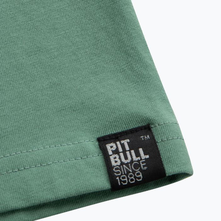 Pitbull West Coast γυναικείο t-shirt Small λογότυπο μέντα 6