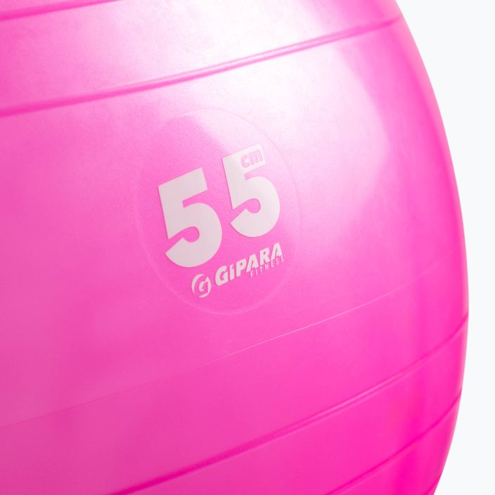 Gipara Fitness μπάλα γυμναστικής ροζ 3998 55 cm 2