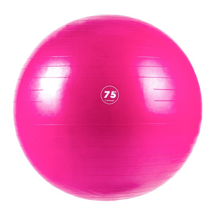 Gipara Fitness μπάλα γυμναστικής ροζ 3008 75 cm 2
