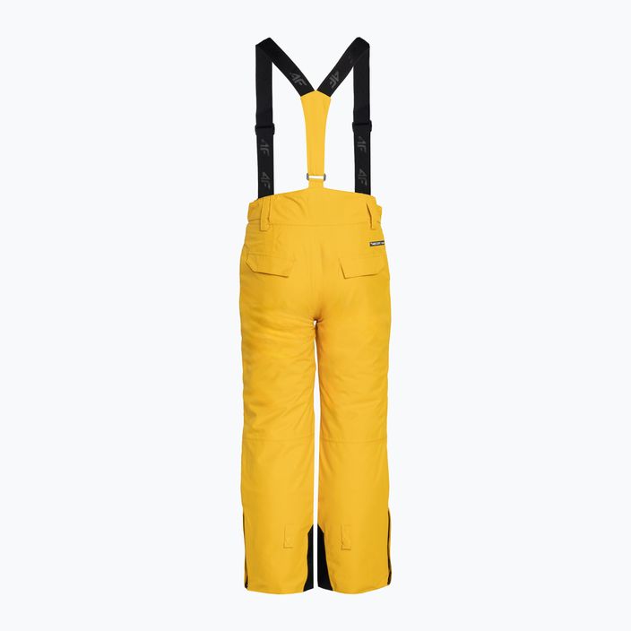 Παιδικό παντελόνι σκι 4F M360 κίτρινο 2