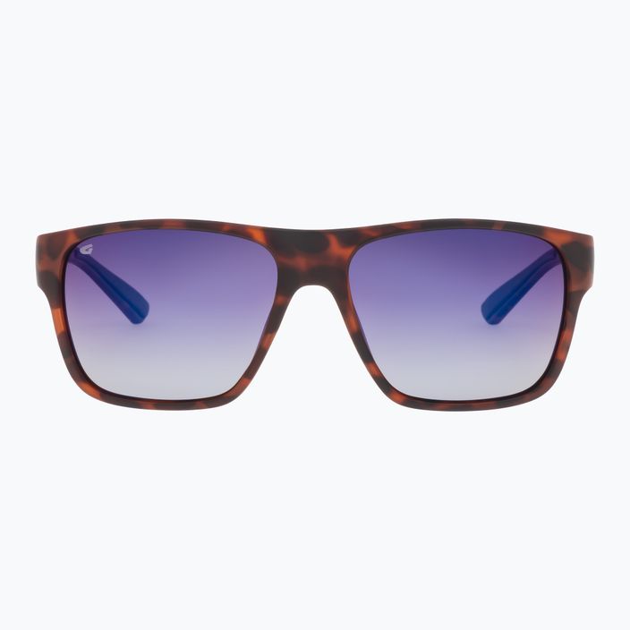 Γυαλιά ηλίου GOG Henry μόδας ματ καφέ demi / μπλε καθρέφτης E701-2P 6