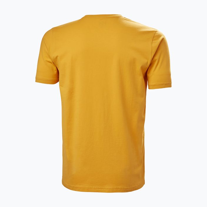 Ανδρικό Helly Hansen HH Logo trekking πουκάμισο κίτρινο 33979_328 5