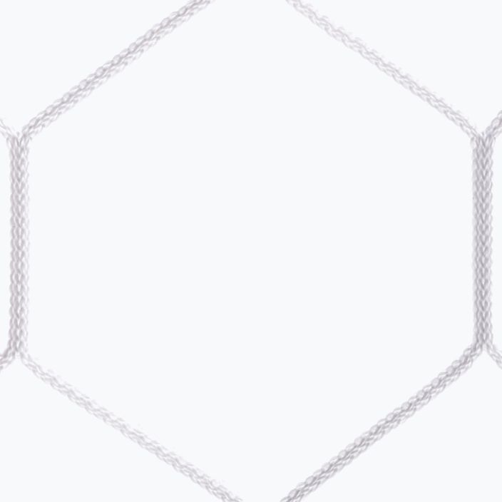 Δίχτυ τέρματος Sportpoland 732 x 244 cm λευκό 3661 3