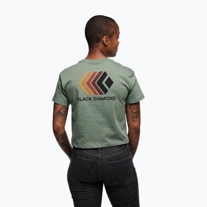 Γυναικείο μπλουζάκι Black Diamond Faded Crop δάφνινο πράσινο T-shirt 3