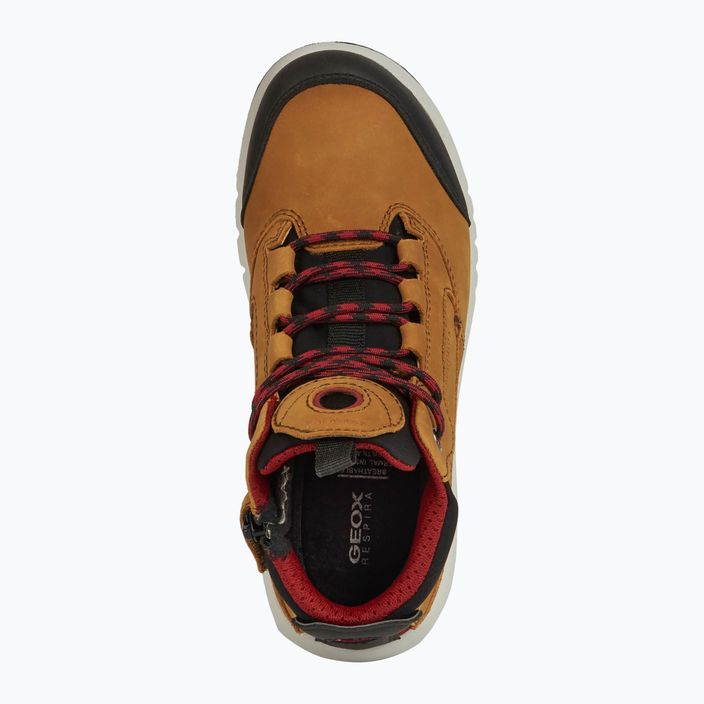 Geox Aeranter Abx καμηλό/μαύρο/κόκκινο junior παπούτσια 13