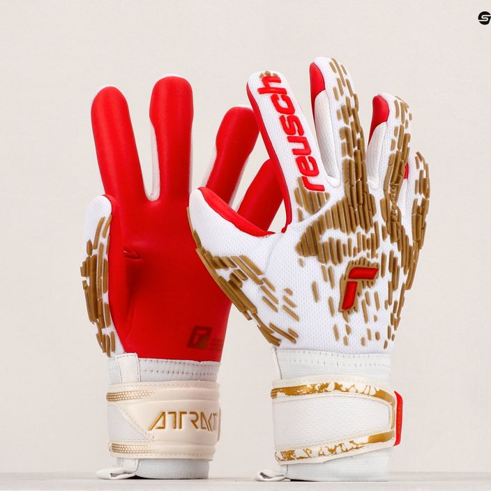 Reusch Attrakt Freegel Silver γάντια τερματοφύλακα λευκά 5370235-1011 10